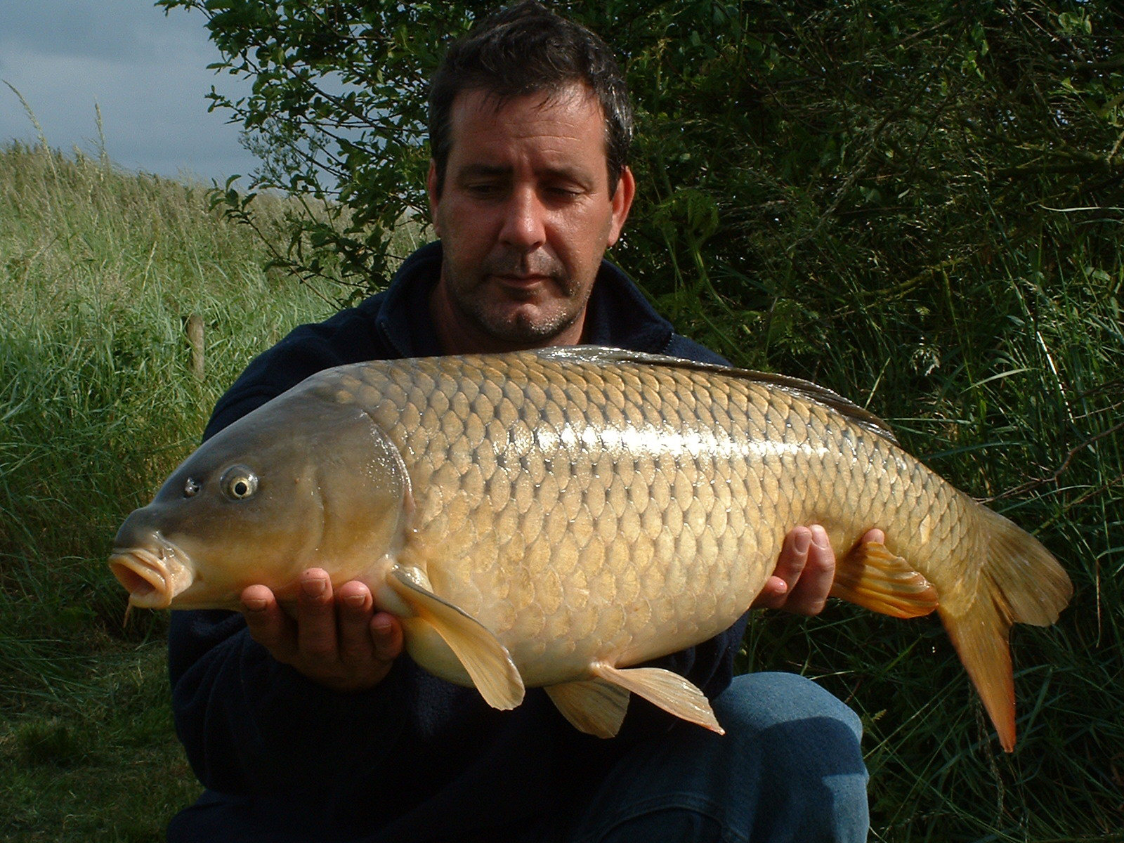 22_pound_common.jpg